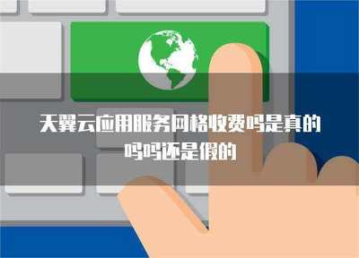 应用服务网格 性价比与安全性的全面解析