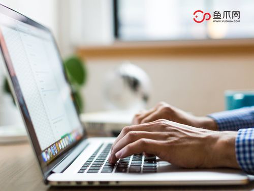 打破传统，聚焦个体 从鱼爪网看个人互联网服务的品牌发展新路径